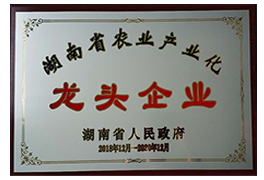 領(lǐng)導關(guān)懷